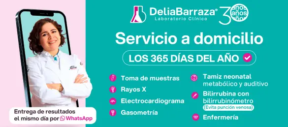 Servicio a Domicilio